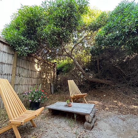 לה סרנה El Arbol Eco Lodge מראה חיצוני תמונה