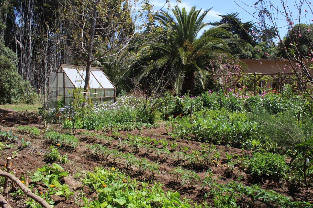 לה סרנה El Arbol Eco Lodge מראה חיצוני תמונה