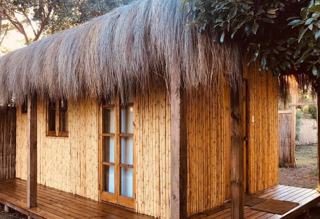 לה סרנה El Arbol Eco Lodge מראה חיצוני תמונה