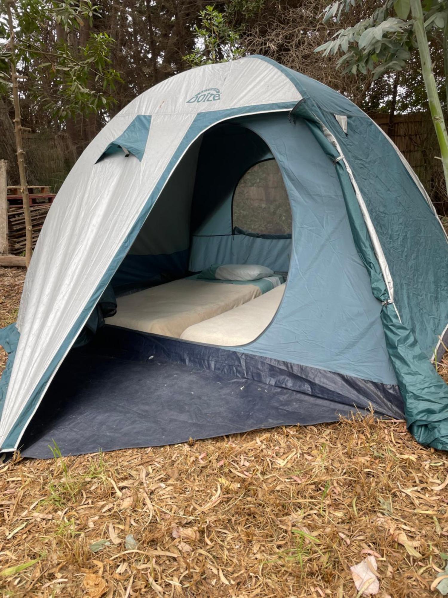 לה סרנה El Arbol Eco Lodge מראה חיצוני תמונה