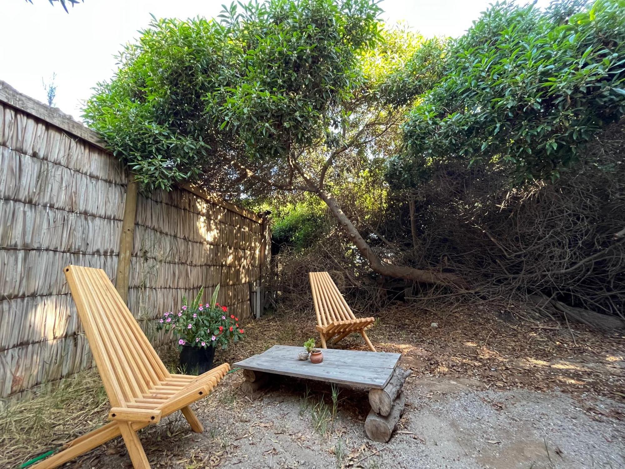 לה סרנה El Arbol Eco Lodge מראה חיצוני תמונה