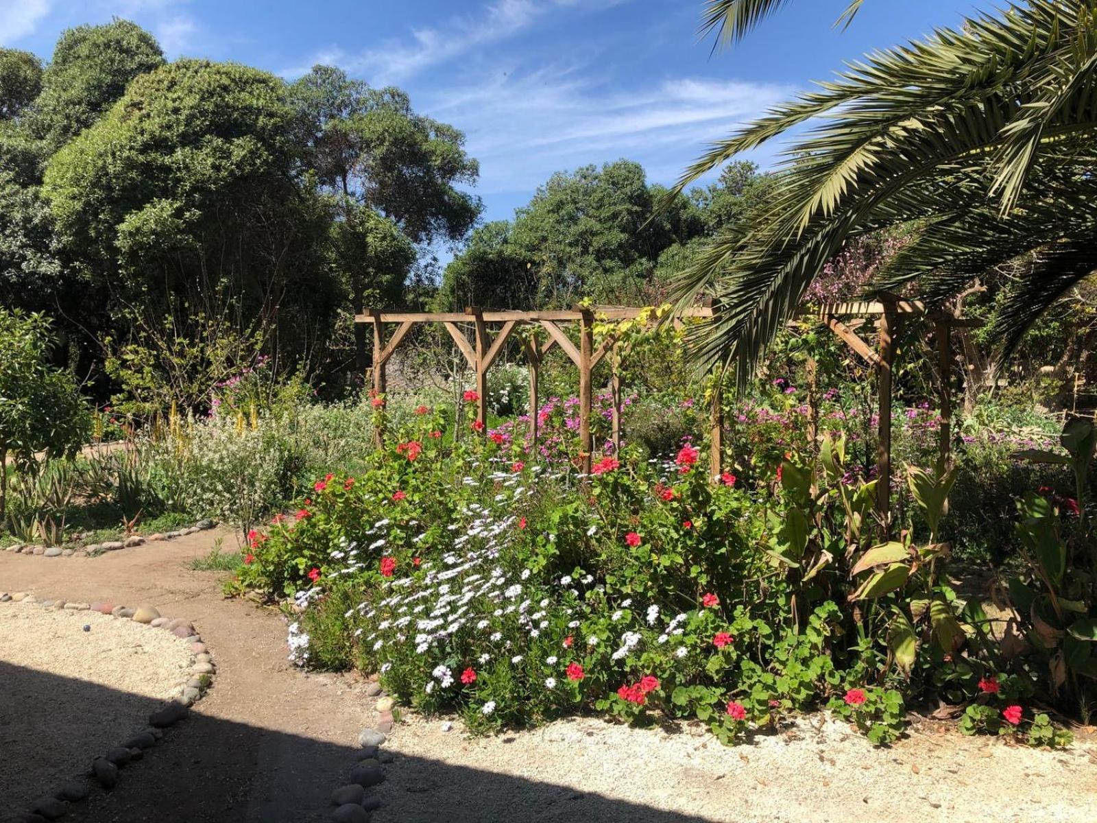 לה סרנה El Arbol Eco Lodge מראה חיצוני תמונה