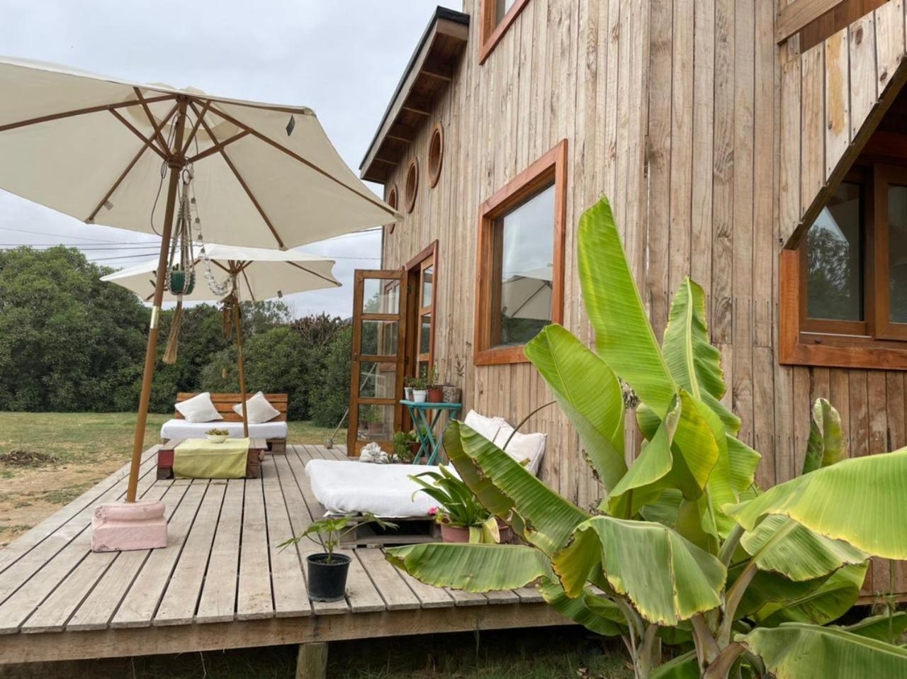 לה סרנה El Arbol Eco Lodge חדר תמונה