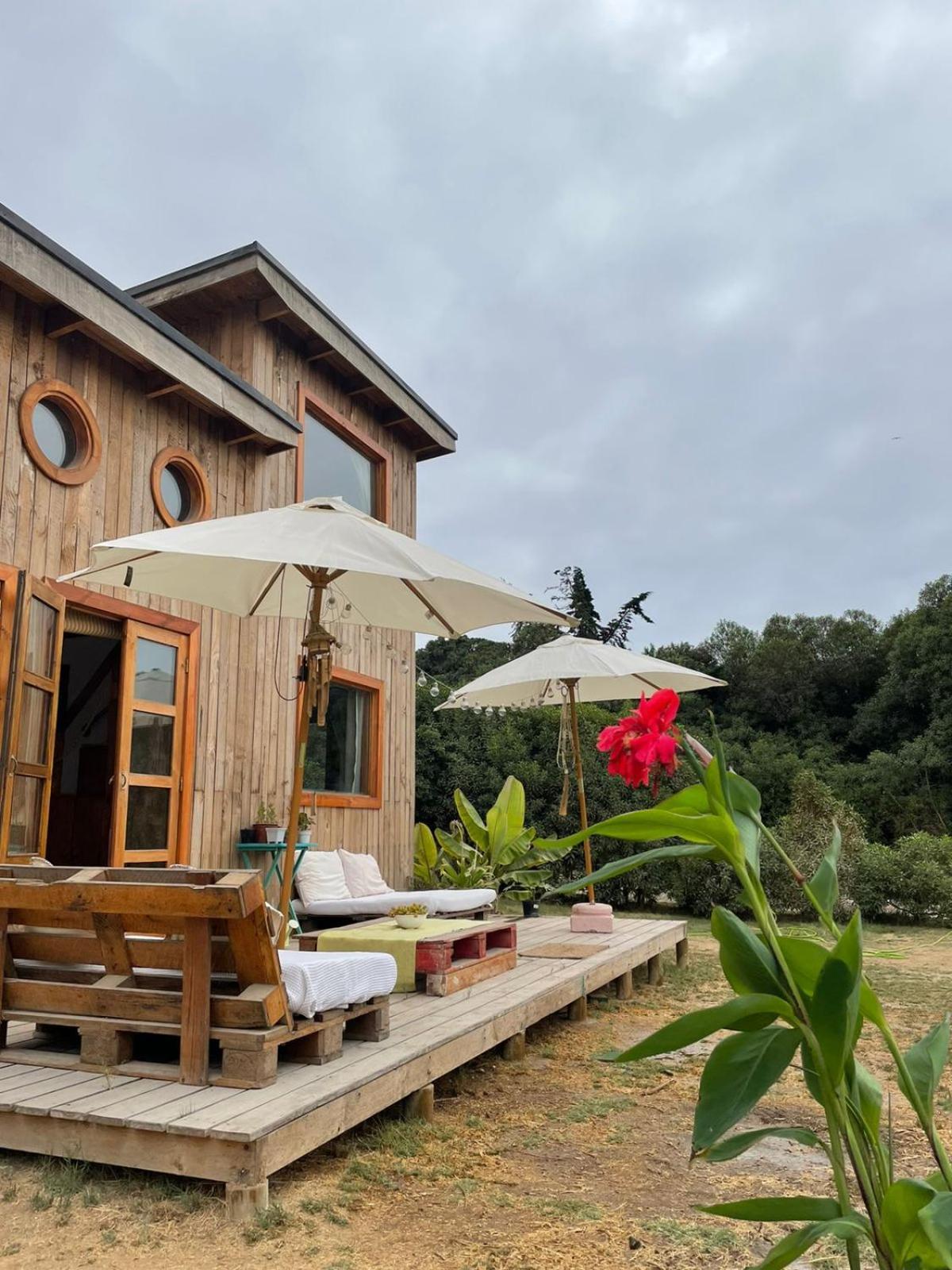 לה סרנה El Arbol Eco Lodge חדר תמונה