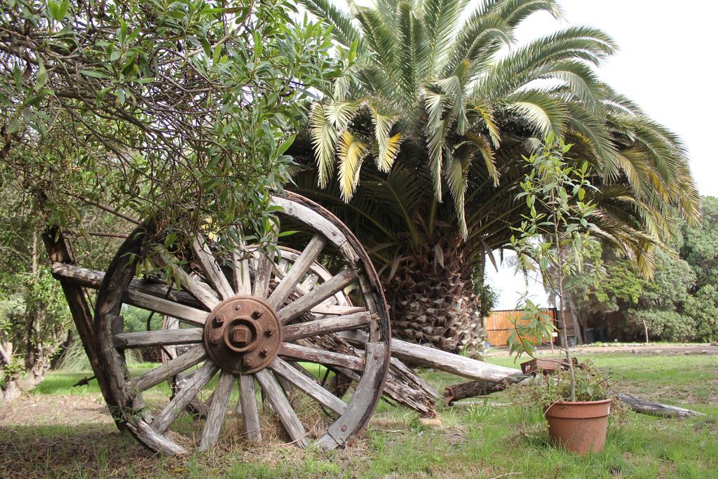 לה סרנה El Arbol Eco Lodge מראה חיצוני תמונה